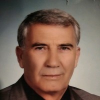 Mahmut ARSLAN